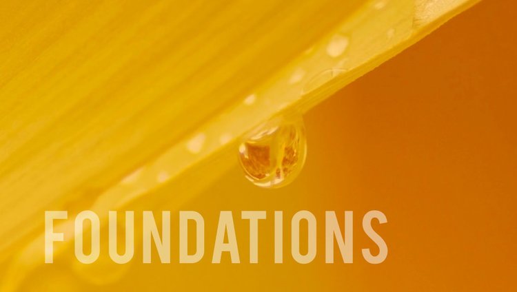 SPEED OF TRUST® FOUNDATIONS